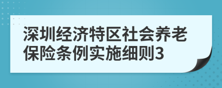 深圳经济特区社会养老保险条例实施细则3