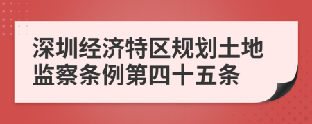 深圳经济特区规划土地监察条例第四十五条