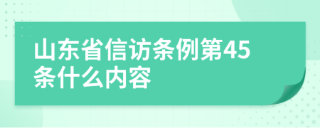 山东省信访条例第45条什么内容