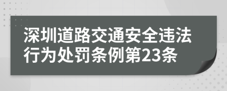 深圳道路交通安全违法行为处罚条例第23条