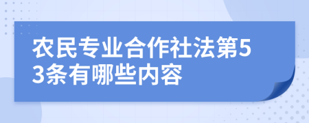 农民专业合作社法第53条有哪些内容