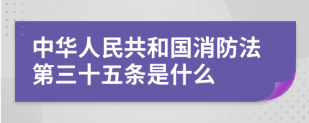 中华人民共和国消防法第三十五条是什么