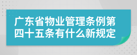 广东省物业管理条例第四十五条有什么新规定