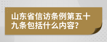 山东省信访条例第五十九条包括什么内容？