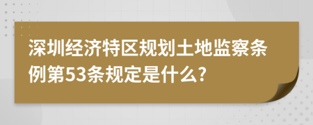 深圳经济特区规划土地监察条例第53条规定是什么?