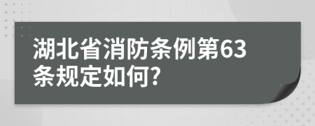 湖北省消防条例第63条规定如何?