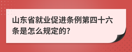 山东省就业促进条例第四十六条是怎么规定的?