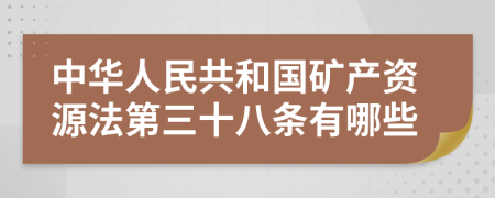 中华人民共和国矿产资源法第三十八条有哪些