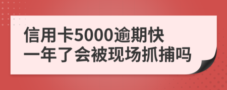 信用卡5000逾期快一年了会被现场抓捕吗