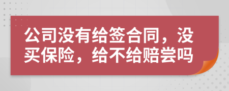 公司没有给签合同，没买保险，给不给赔尝吗