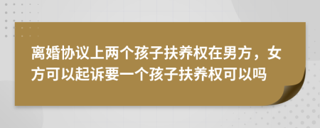 离婚协议上两个孩子扶养权在男方，女方可以起诉要一个孩子扶养权可以吗