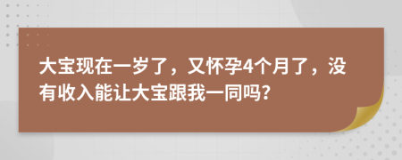 大宝现在一岁了，又怀孕4个月了，没有收入能让大宝跟我一同吗？