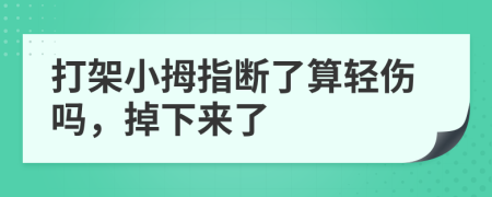 打架小拇指断了算轻伤吗，掉下来了