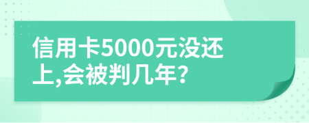 信用卡5000元没还上,会被判几年？