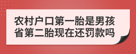 农村户口第一胎是男孩省第二胎现在还罚款吗