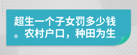 超生一个子女罚多少钱。农村户口，种田为生