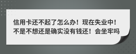 信用卡还不起了怎么办！现在失业中！不是不想还是确实没有钱还！会坐牢吗