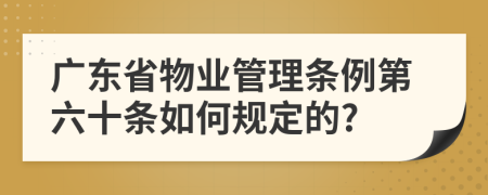 广东省物业管理条例第六十条如何规定的?