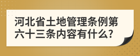 河北省土地管理条例第六十三条内容有什么?