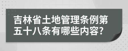 吉林省土地管理条例第五十八条有哪些内容?