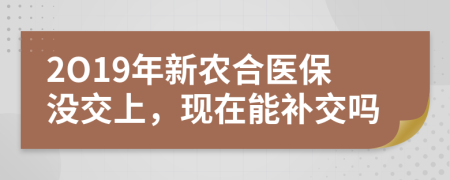 2O19年新农合医保没交上，现在能补交吗