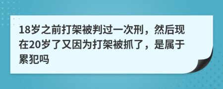 18岁之前打架被判过一次刑，然后现在20岁了又因为打架被抓了，是属于累犯吗