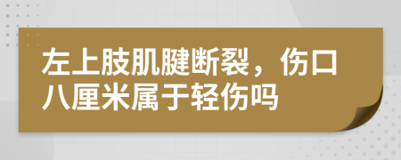 左上肢肌腱断裂，伤口八厘米属于轻伤吗