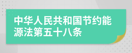 中华人民共和国节约能源法第五十八条