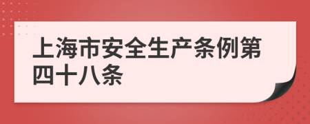 上海市安全生产条例第四十八条