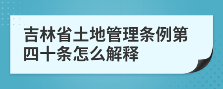 吉林省土地管理条例第四十条怎么解释