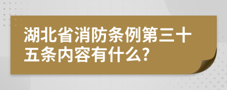 湖北省消防条例第三十五条内容有什么?