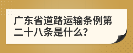 广东省道路运输条例第二十八条是什么？