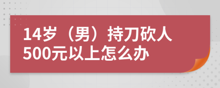 14岁（男）持刀砍人500元以上怎么办