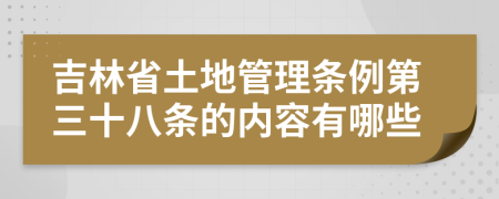 吉林省土地管理条例第三十八条的内容有哪些