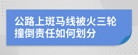 公路上斑马线被火三轮撞倒责任如何划分