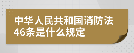 中华人民共和国消防法46条是什么规定