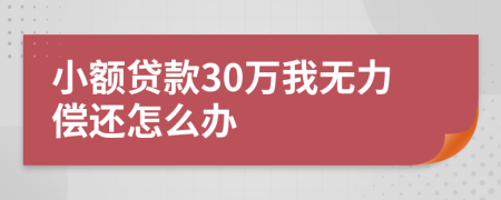 小额贷款30万我无力偿还怎么办