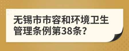 无锡市市容和环境卫生管理条例第38条？