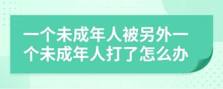 一个未成年人被另外一个未成年人打了怎么办