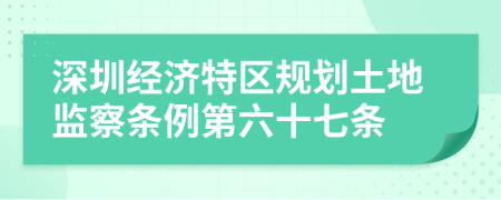 深圳经济特区规划土地监察条例第六十七条