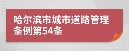 哈尔滨市城市道路管理条例第54条