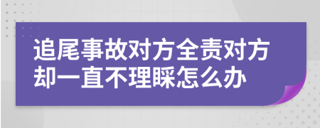 追尾事故对方全责对方却一直不理睬怎么办