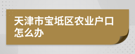 天津市宝坻区农业户口怎么办