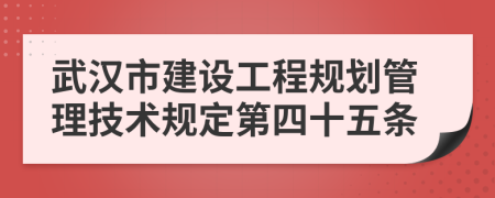 武汉市建设工程规划管理技术规定第四十五条