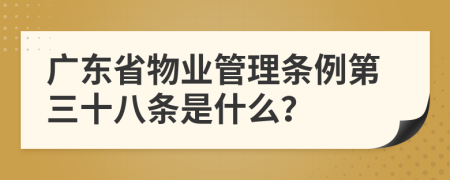 广东省物业管理条例第三十八条是什么？