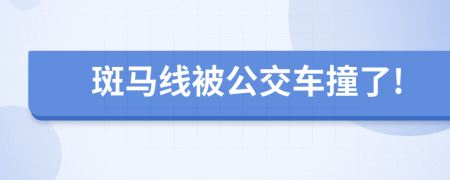 斑马线被公交车撞了!