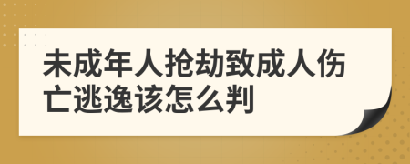 未成年人抢劫致成人伤亡逃逸该怎么判