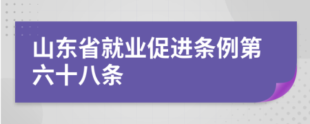 山东省就业促进条例第六十八条