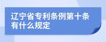 辽宁省专利条例第十条有什么规定