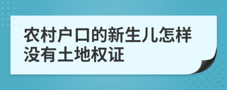 农村户口的新生儿怎样没有土地权证